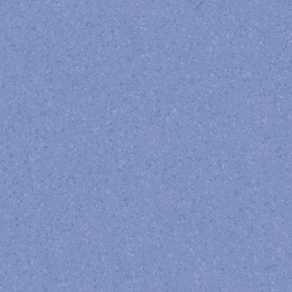 medium blue 0979